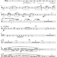 Le carnaval des animaux - Bass