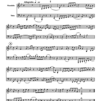 Concertante (Nine Short Mvts.)