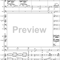 Serenade in D Minor, Op. 44, B77, Movement 1 - Score
