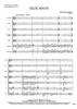 Celtic Roots - Score