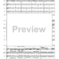 Allegro from Concerto in D Major - Score