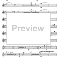 Concertino - Flute 2