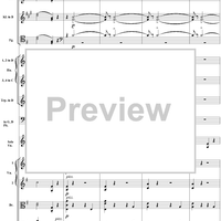 Violin Concerto No. 1, Movement 3 - Score