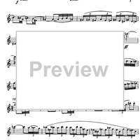 Preliminary studies to 'The Accomplished Clarinettist' Vol. 2 - Clarinet