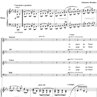 Der Gang zum Liebchen, Op. 31, No 3