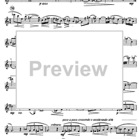 Capriccio notturno - Violin