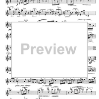 Appassionato - Flute