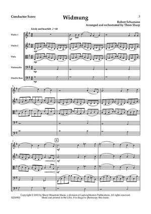 Widmung for String Orchestra - Score
