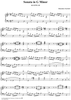 Sonata in G minor - K111/P99/L130