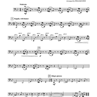 It Ain't Necessarily So - Cello