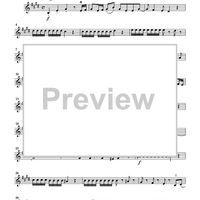 The Violin Concerti - Violin 2