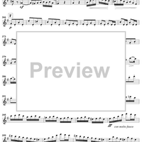 Grand Duo in E Minor, Op. 39, No. 1 - Flute 1