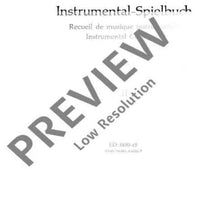 Instrumental-Playbook - Cello/double Bass