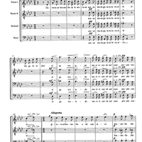 El brustolin - Score