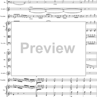 Violin Concerto No. 6 - Full Score