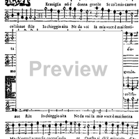 Meraviglia non è, donna gentile