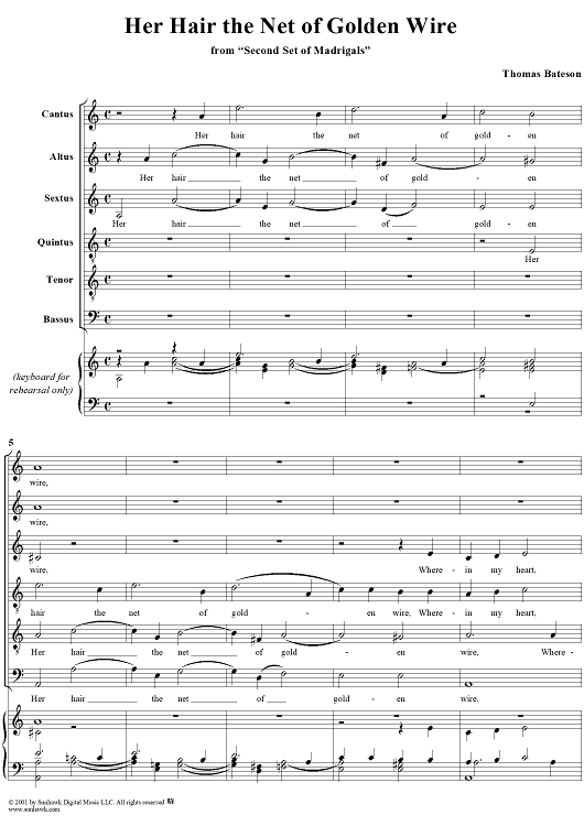 Her Hair the Net of Golden Wire