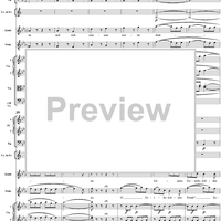 "Meine Seele hüpft vor Freuden", No. 5 from "Zaide", Act 1, K336b (K344) - Full Score