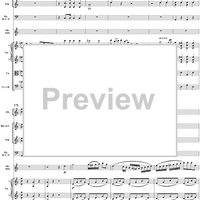 Oboe Concerto in C Major, HobVIIg/C1 Movement 1 - Full Score