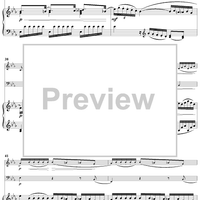 Piano Trio in G Minor, HobXV/19 - Piano Score