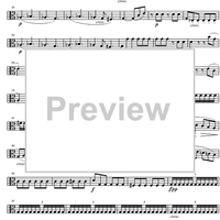 String Quintet C Major Op.29 - Viola 2