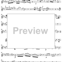 Violin Concerto No. 3 - Solo Violin