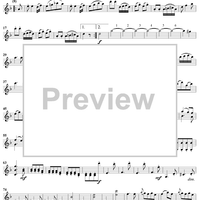 String Quartet in D Minor, Op. 76, No. 2 - Violin 1