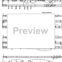 Fantaisie de concert - Score