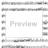 Concerto No. 2 C Major KV314 - Flute