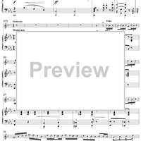 Lillian (Polka Caprice) - Piano Score