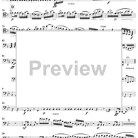 String Quintet No. 2 in B-flat Major, Op. 87 - Cello