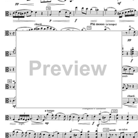 Sonata d minor - Viola