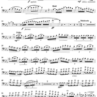 Lillian  (Polka Caprice) - Baritone BC