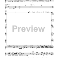 A Pirate's Legend - Flute 1