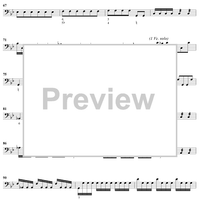 The Four Seasons, No. 2: Summer - Cello/Bass