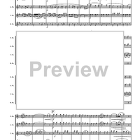 Sonoran Spice - Score