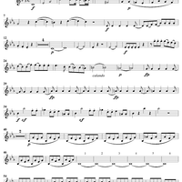 String Quintet No. 2 in C Minor, K406 - Violin 2