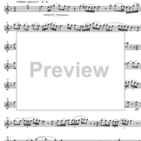 Ave Maria D839 - Flute