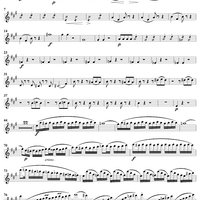 Grand Quatuor Concertante, Op. 53, No. 2 - Flute 4