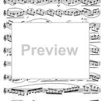 Preliminary studies to 'The Accomplished Clarinettist' Vol. 3 - Clarinet