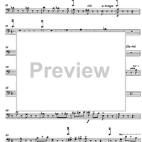 Liriche erotiche (Erotic poems) - Double Bass