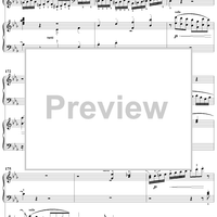 Double Piano Concerto No. 10 in E-flat Major, K316a (K365), Movement 1