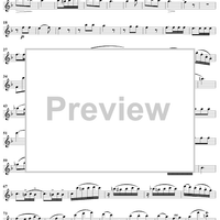 Grand Quatuor Concertante, Op. 53, No. 2 - Flute 1