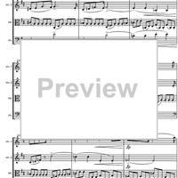 String Quartet No.14 d minor D810 - Score