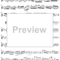 Duo in E Minor, Op. 10, No. 1