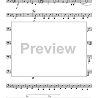 Washington Grays March - Tuba