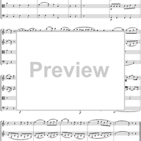 Eine kleine Nachtmusik - Score