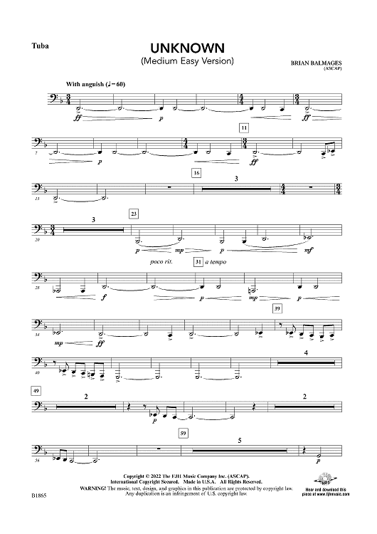 Unknown (Medium Easy Version) - Tuba