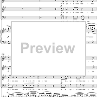 Mass No. 14 in B-flat Major, "Harmoniemesse"/"Wind Band Mass": No. 3. Credo