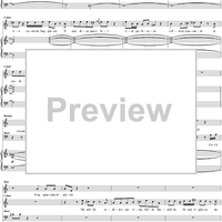 Duetto: Pace e gioia, No 13 from "Il Barbiere di Siviglia" - Full Score